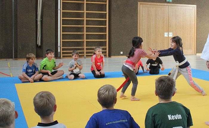 judo projekt grundschule obernzenn 27112014 1 20150119 1970267773